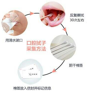 口腔样本采集方法