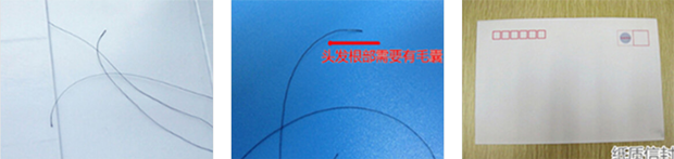 毛发亲子鉴定