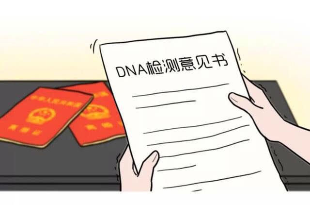 成都亲子鉴定报告有效期多久？过期后如何重新办理