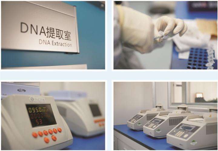 成都亲子鉴定准确率有多高？解读DNA鉴定技术的科学原理